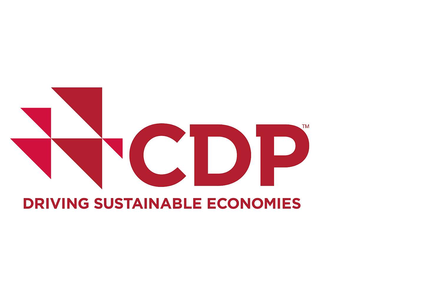 Carbon Disclosure Project (CDP)